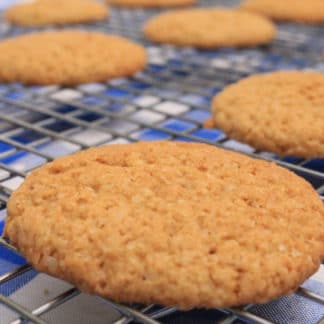 gluten free ginger spice cookie baking mix
