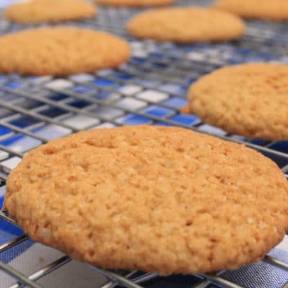 gluten free ginger spice cookie baking mix