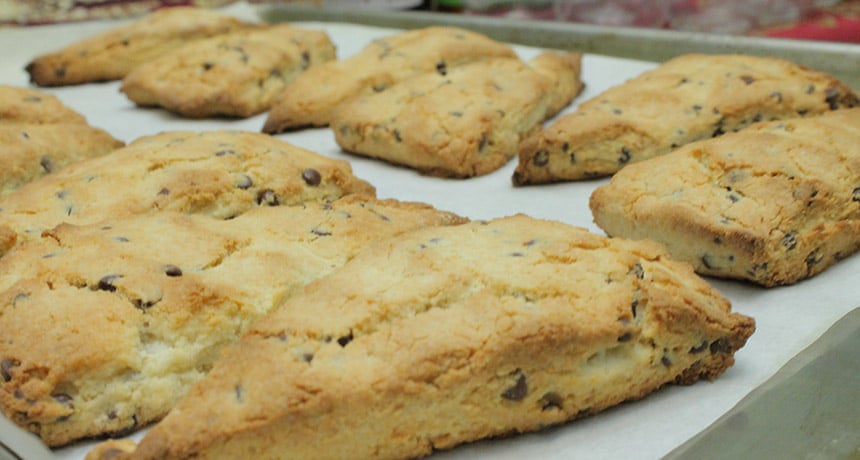 hot out of the oven divinely gluten free chocolate chip scones