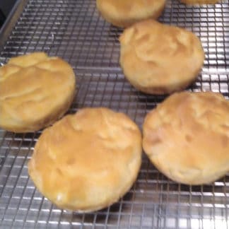 gluten free hard rolls