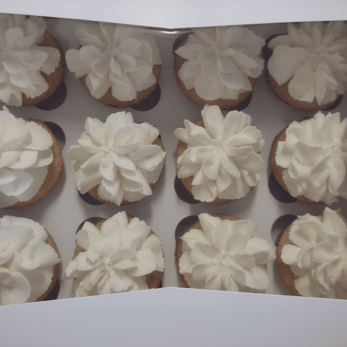 lemon cupcakes - gluten free and delicious