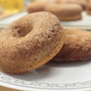 cinnamon sugar gluten free donuts