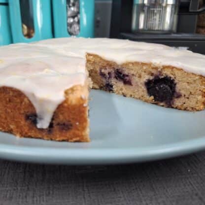 gluten free lemon blueberry shippable cake