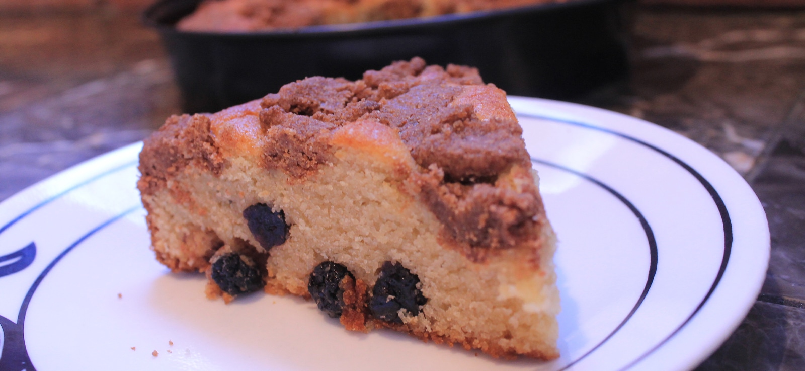 Gluten Free and ShippableBlueberryCoffeeCake