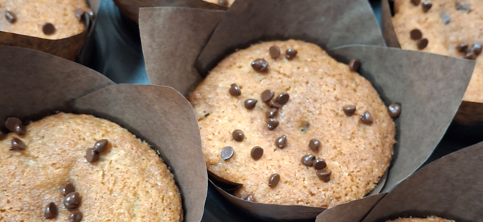 Gluten Free Shippable Chocolate Chip Muffins