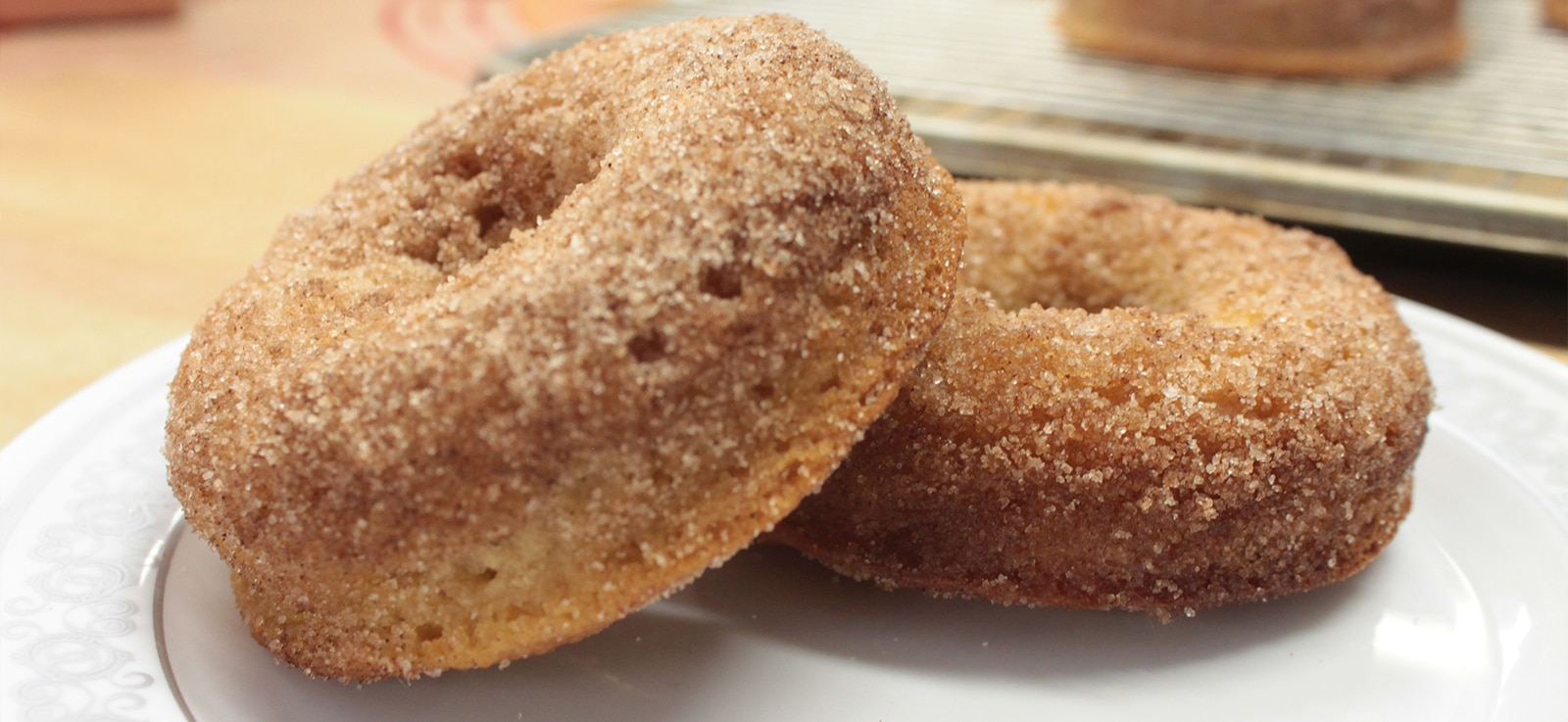 Gluten Free Shippable Cinnamon Sugar Donuts