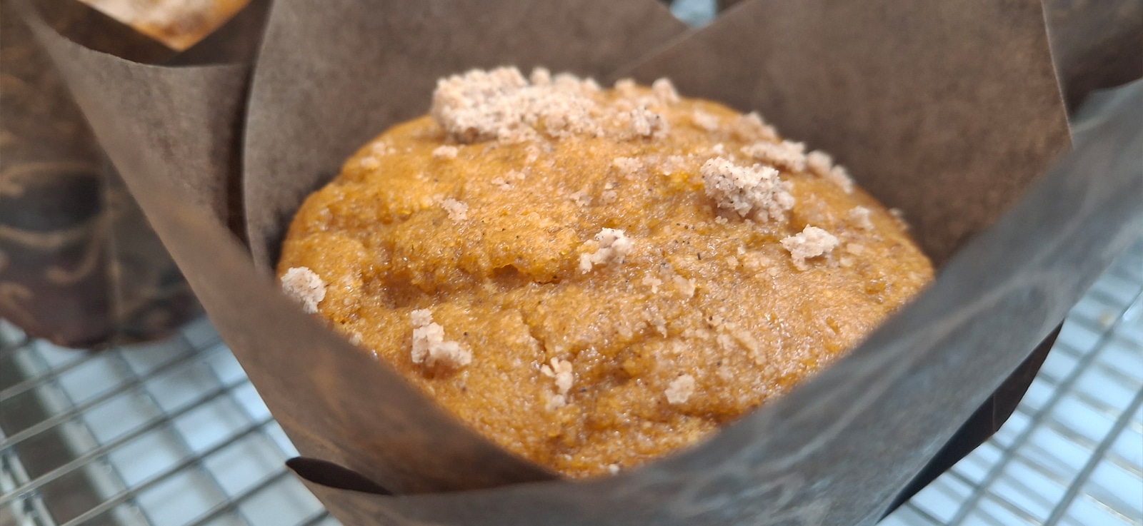 Gluten Free Shippable Pumpkin Spice Muffin