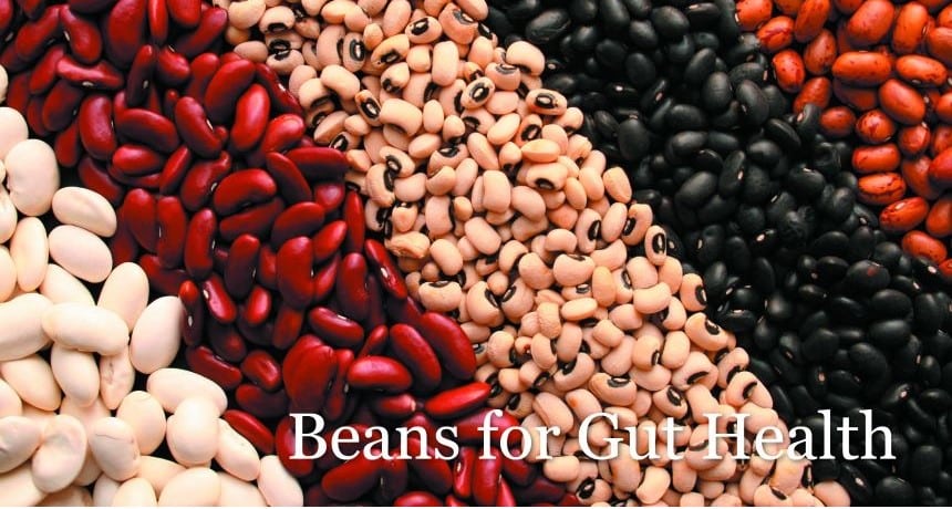 the Importance of Beans for Healing the Gut
